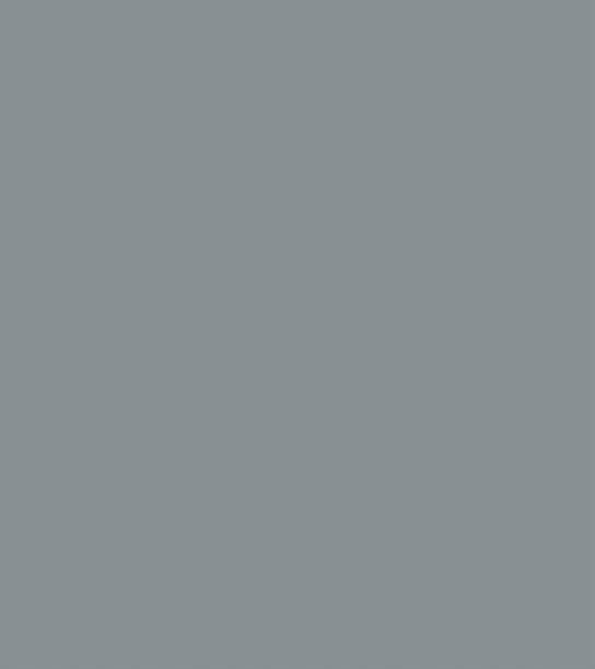 Ant Grey mermer desenli panel